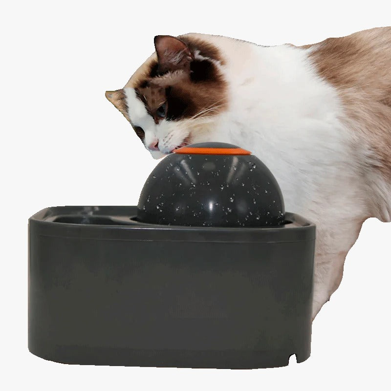 Fuente 2 en 1 Para Mascotas